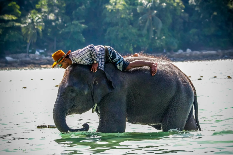 a man riding an elephant in the water