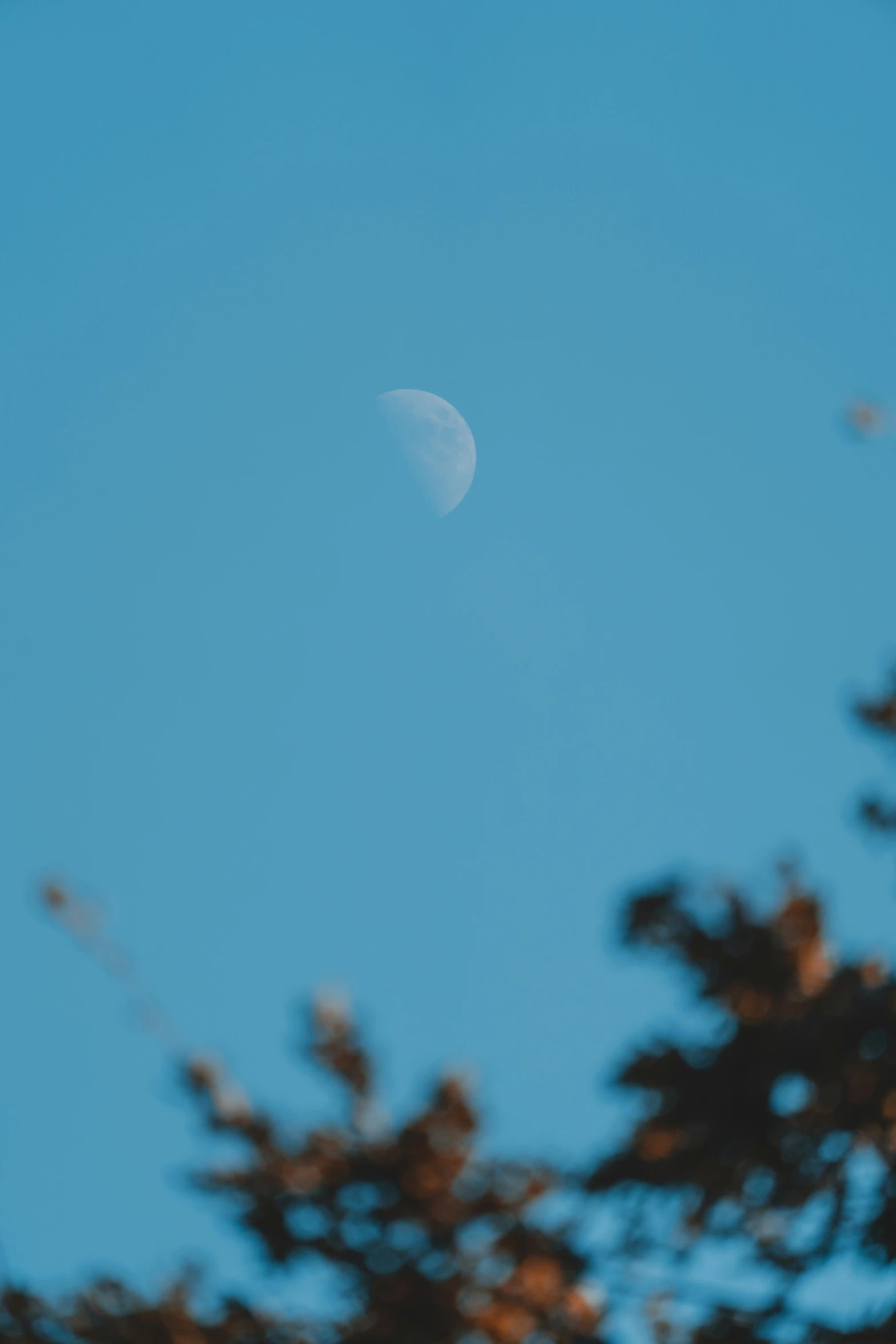 the moon rising on a clear, blue sky