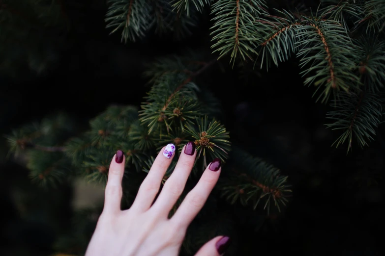 woman's hand with colorful painted nails next to tree nch