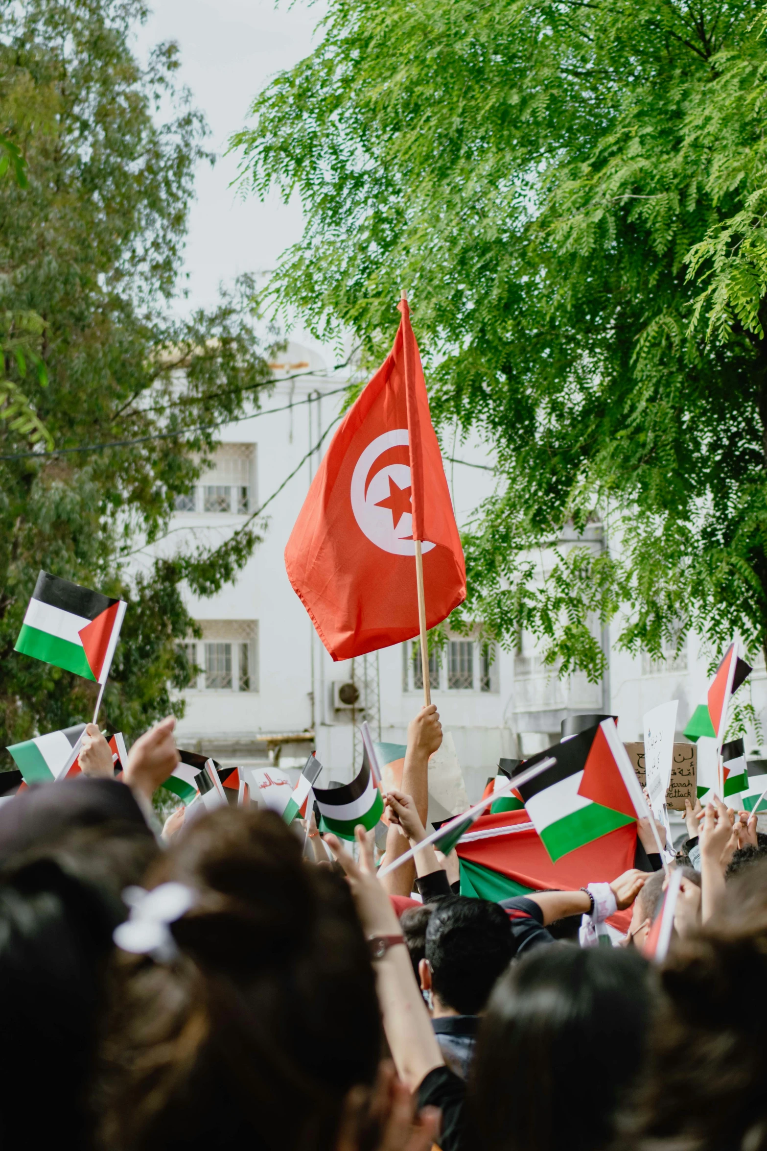 people waving turkish and indian flags on a city street