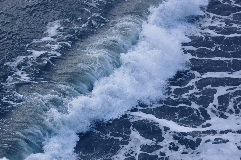 a bird that is flying over the water