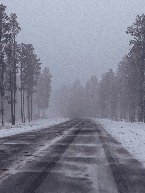 the road is empty and in front of a cluster of trees