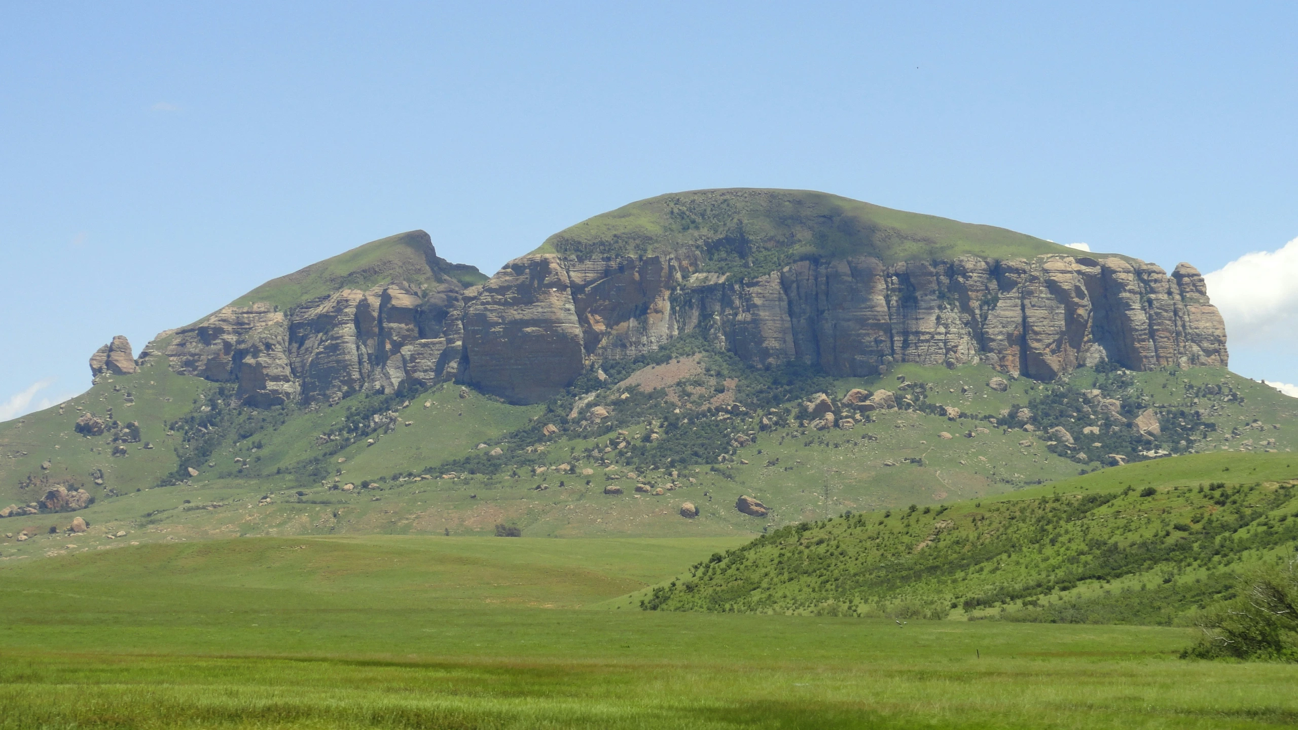 the grassy terrain is in front of a large mountain range