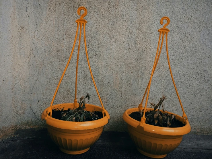 two brown clay hanging planters filled with plants