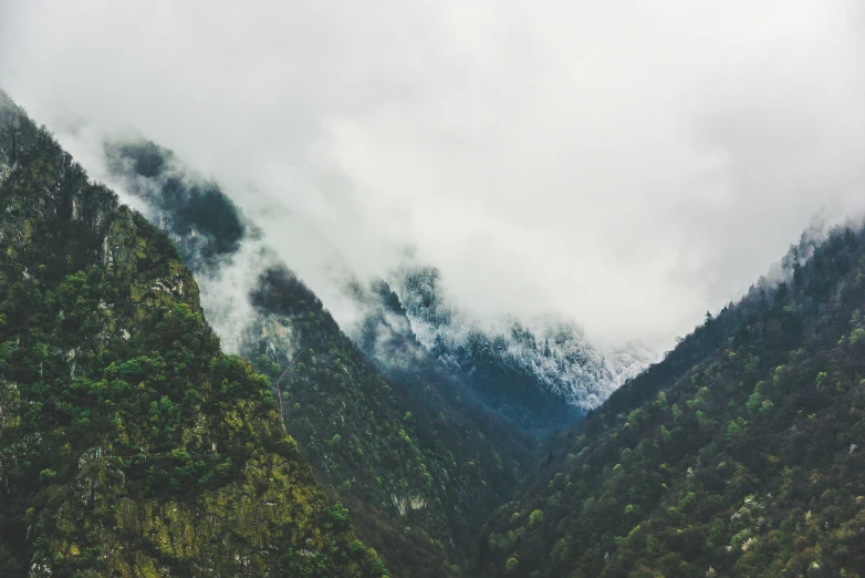 a mountainous area with trees on both sides