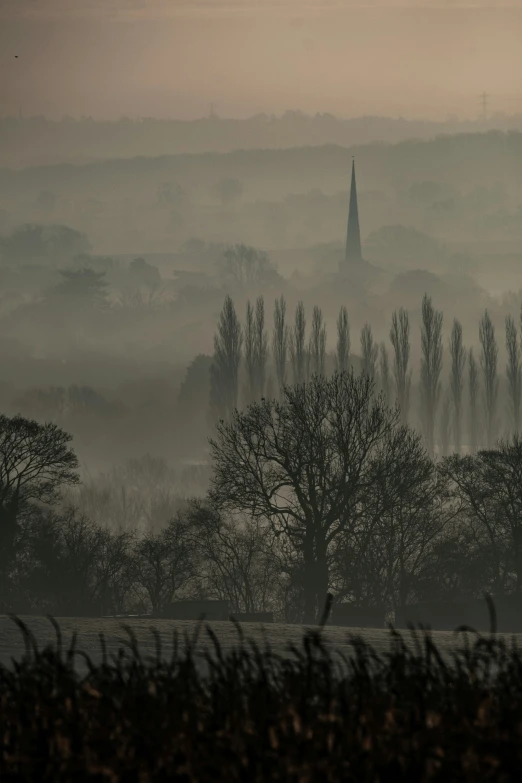 mist is covering the hills and trees near a field