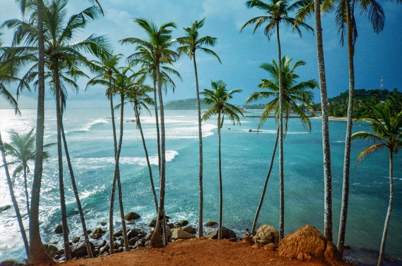 several palm trees line the shore of an ocean with a shoreline and sandy beach