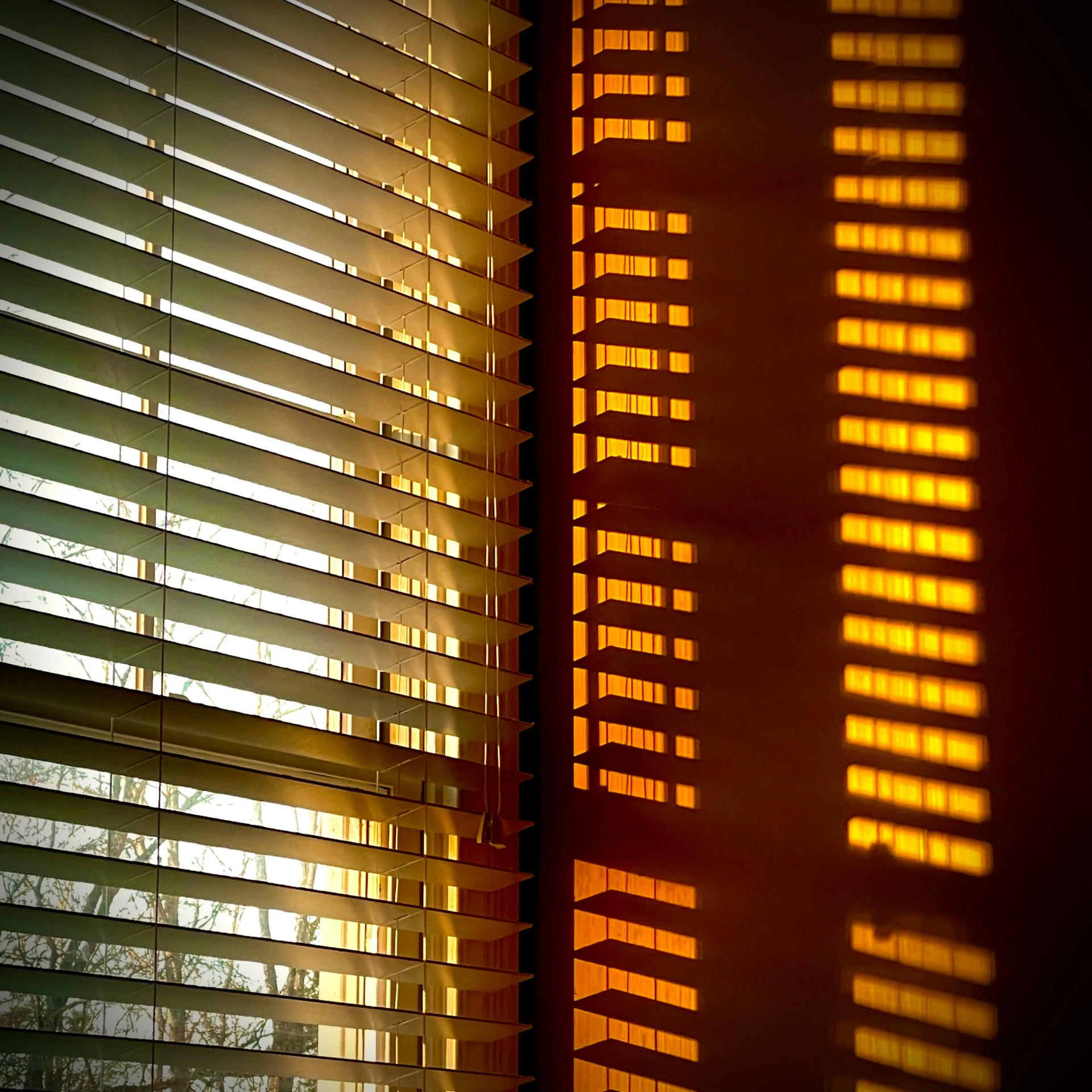 sunlight is reflected off the blinds in front of a window