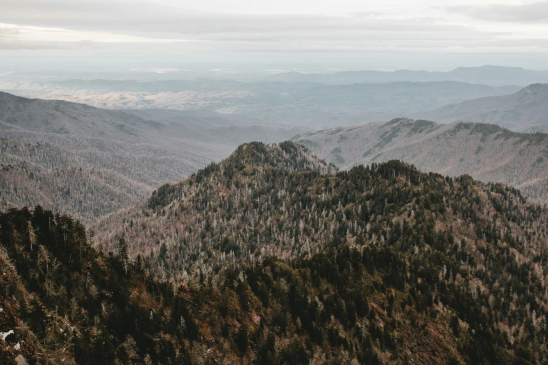 many mountains surrounded by brown brush with no trees