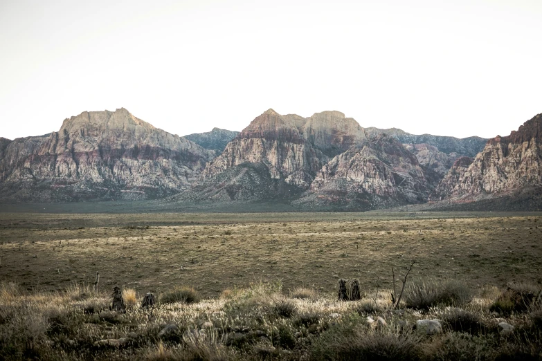 an open prairie with mountains in the background