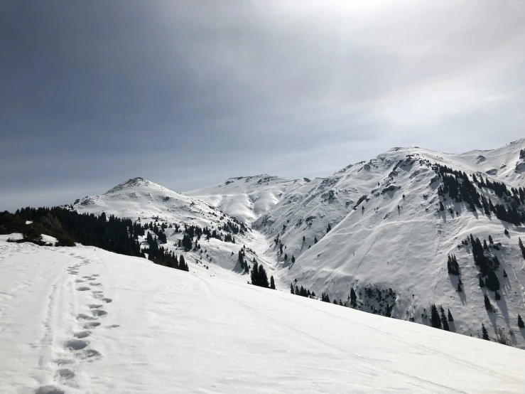 a pair of tracks in the snow leading to a snowy mountain