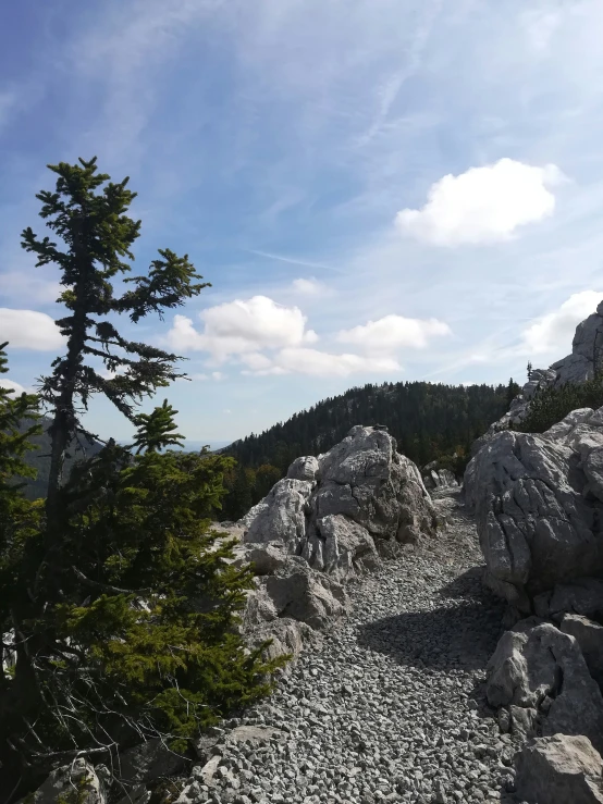 the view from the top of a mountain shows large boulders, and a tall pine tree