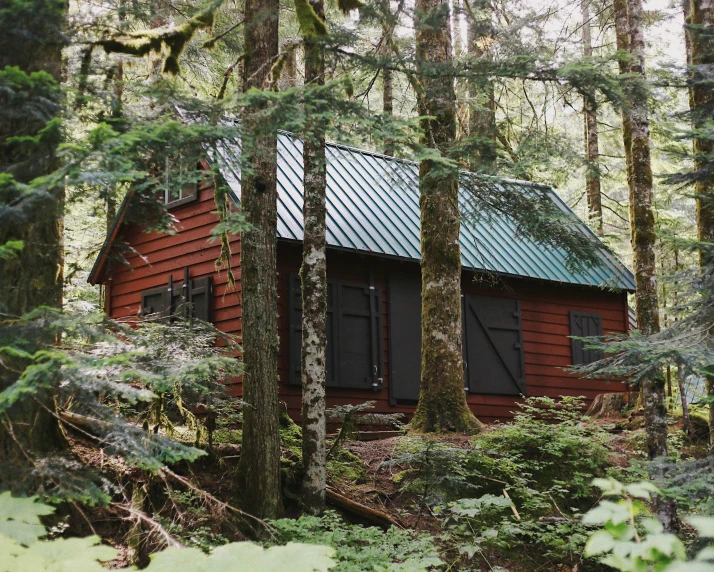 an old rustic cabin in the woods surrounded by trees