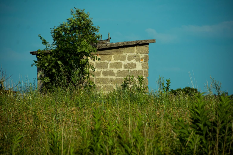 an old house in a tall field of grass