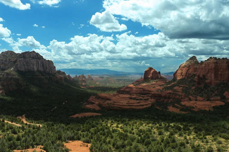 many trees and bushes next to mountains in the desert