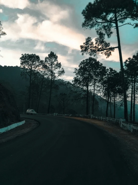 dark road with trees on both sides