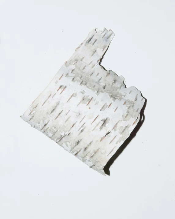 an abstract painting with white paint that looks like birch