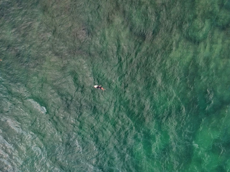 the view from above shows a lone person laying on a surfboard in a blue, green - tinted ocean