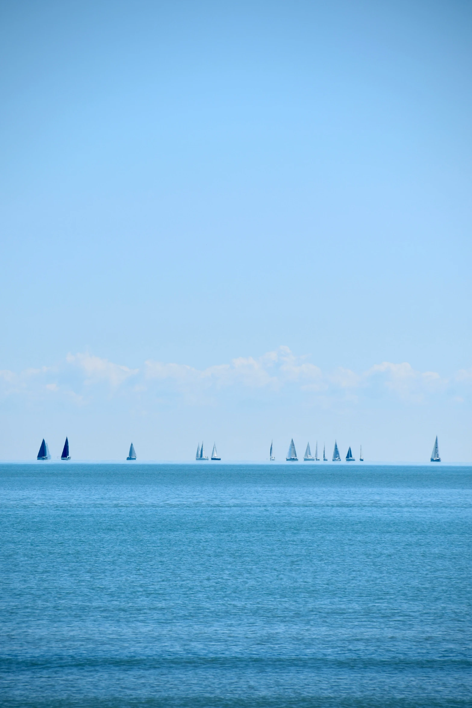 the sailboats are in formation against the horizon of the ocean