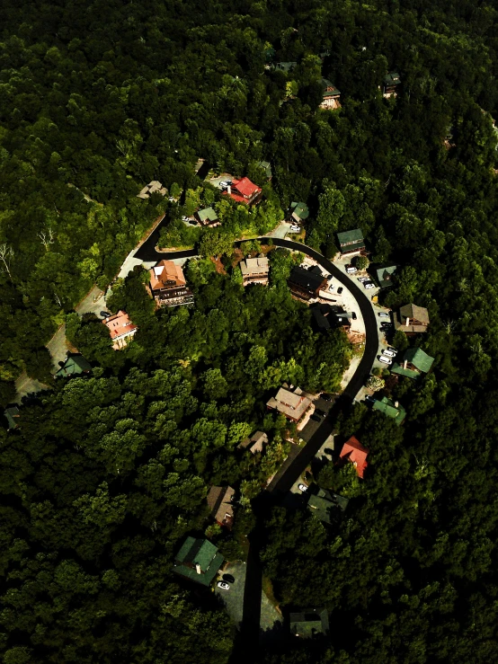 aerial view of small town nestled among trees