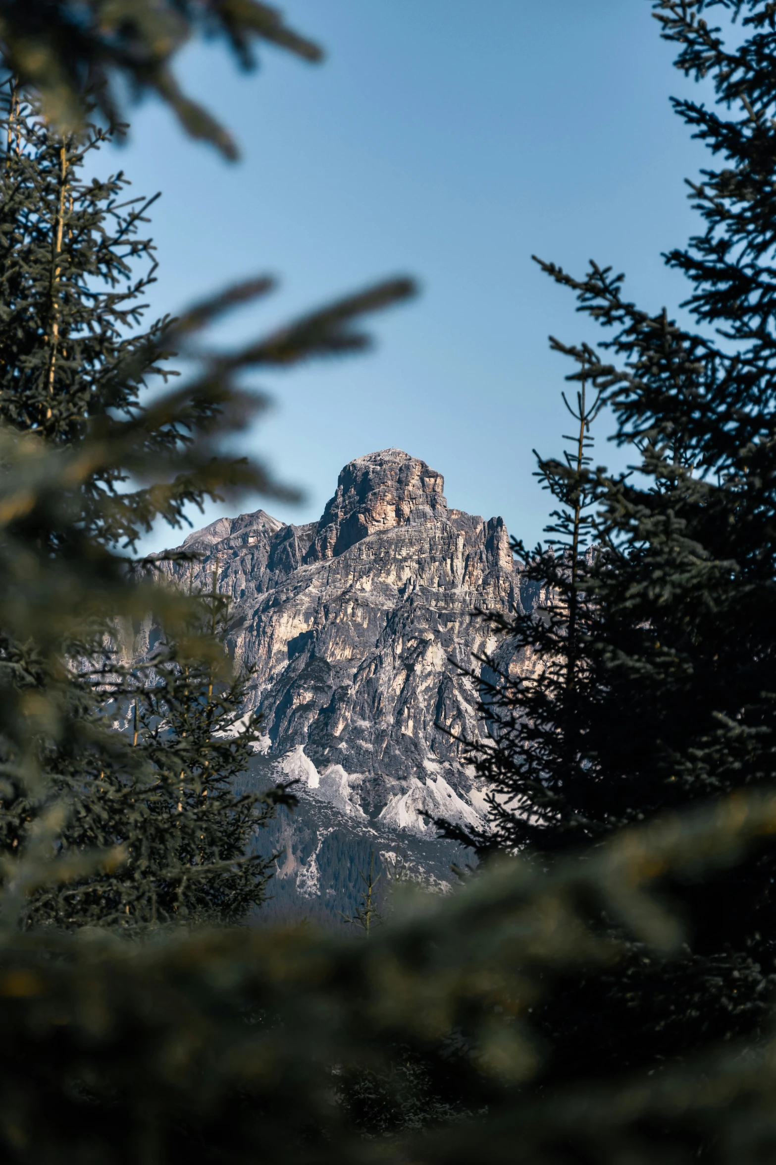 a mountain seen from between some trees