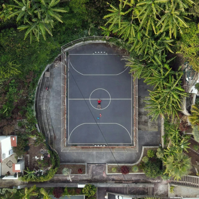 an overhead s of a basketball court with lots of greenery