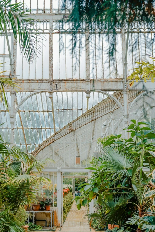 the inside view of a greenhouse in autumn
