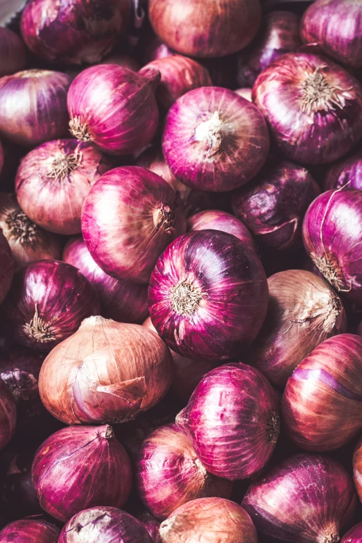 close up of onions in a bucket all in pink