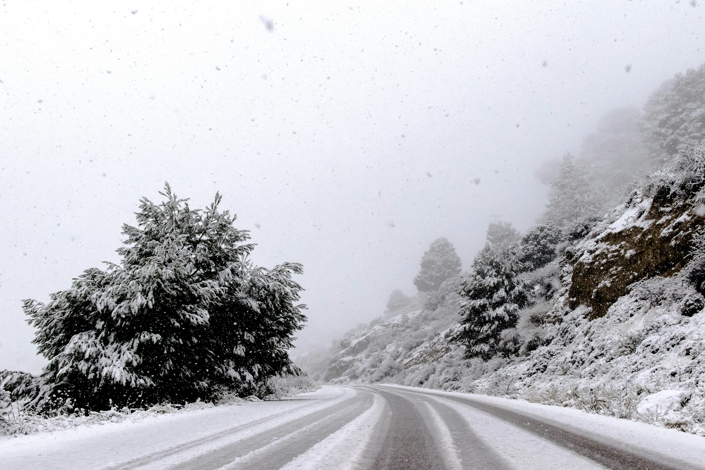 a snowy view of a road with a traffic signal in the foreground