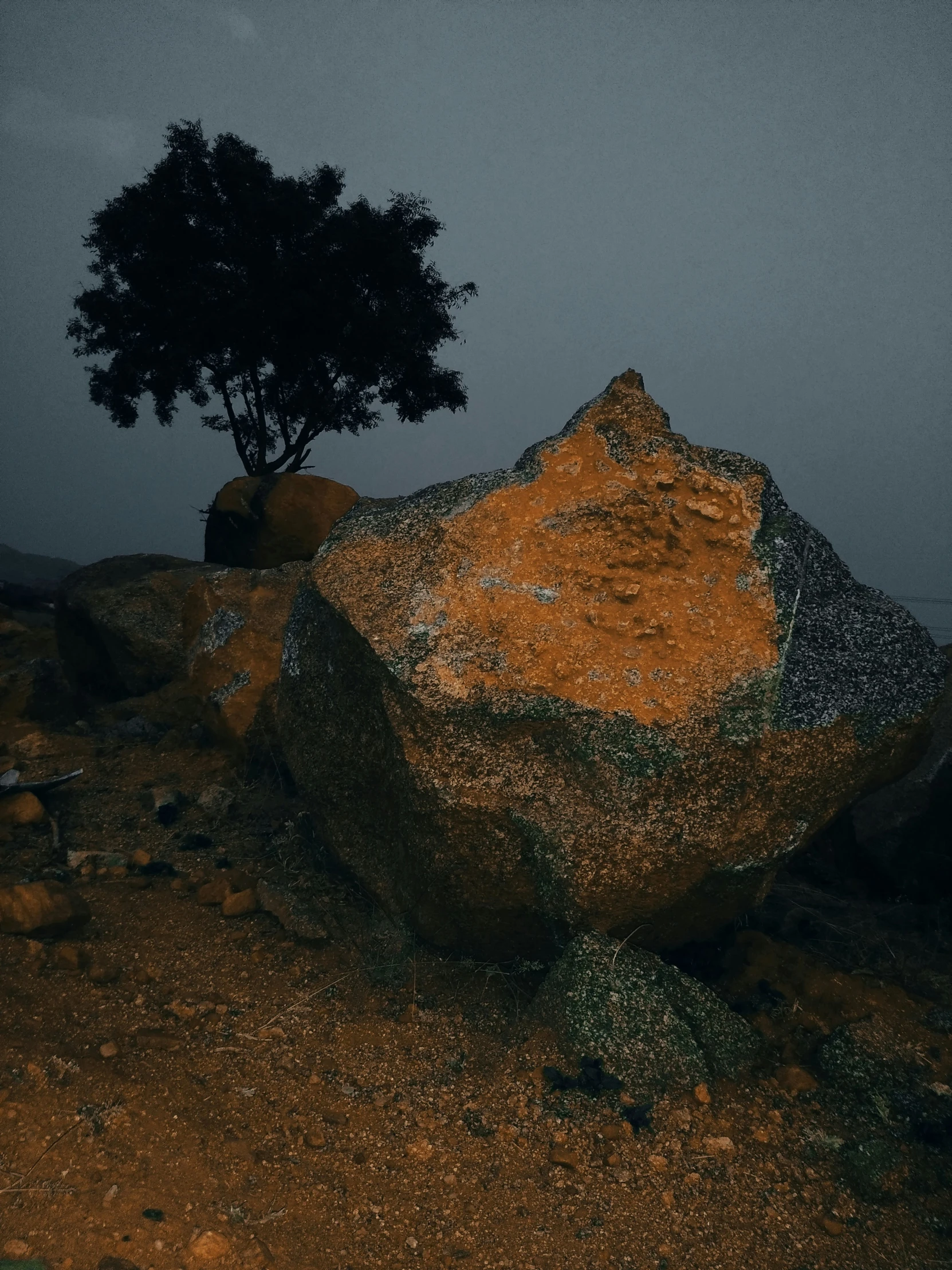 a lone tree on a rock formation near the beach