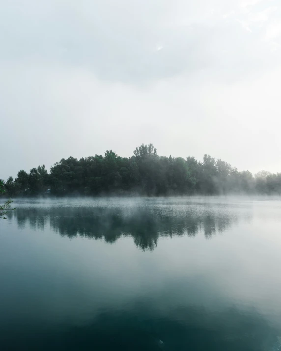 a body of water sitting next to trees on a shore