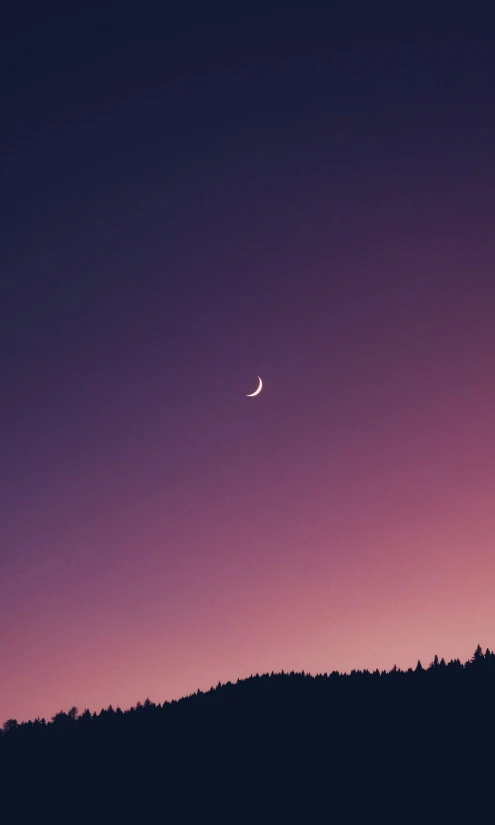 the moon is setting over a forest at night