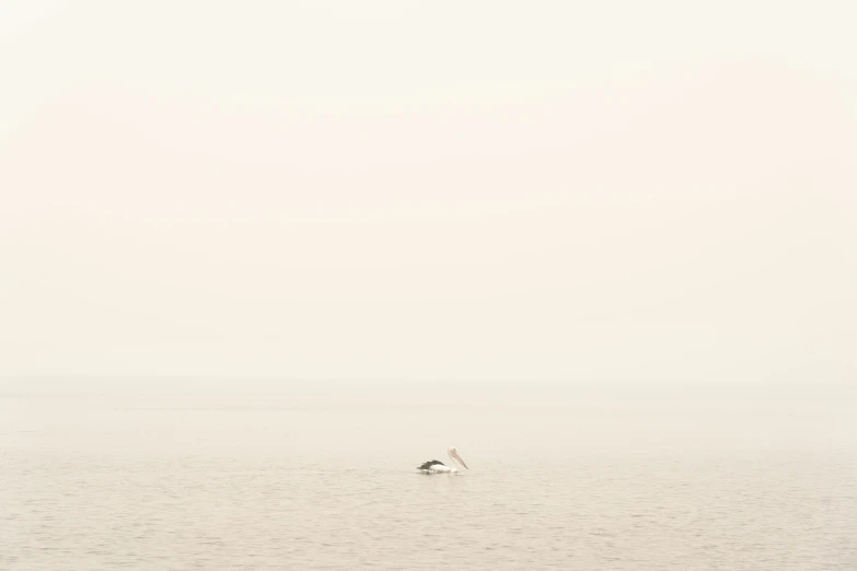 an image of two people surfing in the water