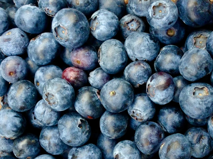 a close up image of blueberries