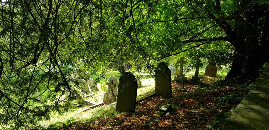 a group of stone markers under some trees