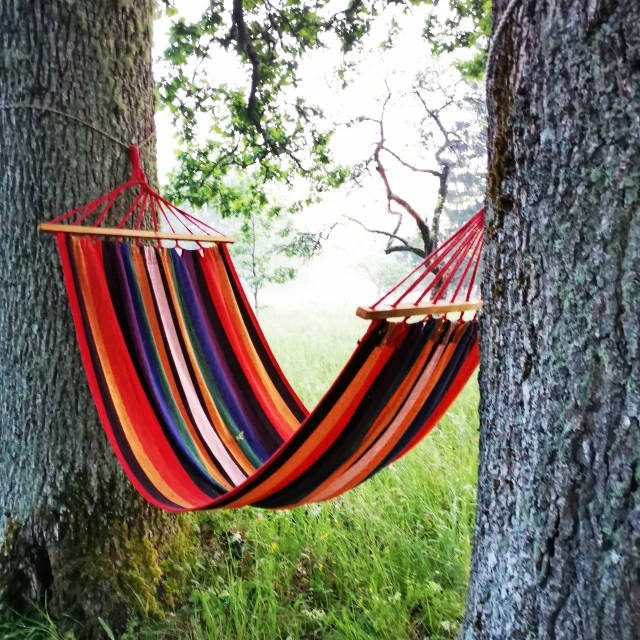 hammock hanging from tree, next to tree, with grass