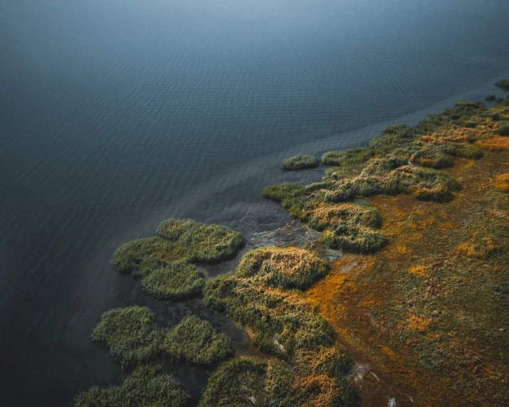 an aerial view of the water from a plane