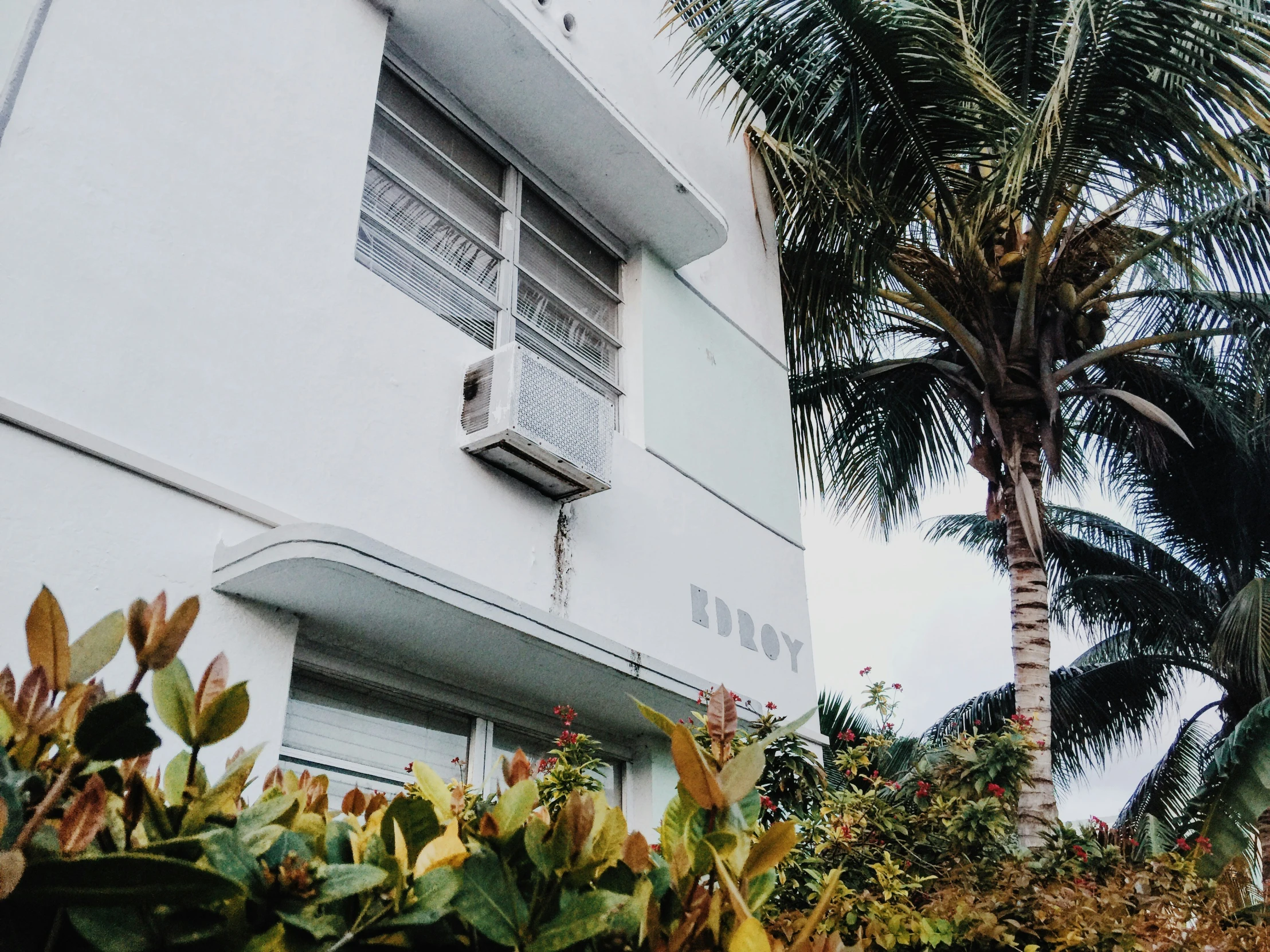 a building with a large palm tree in front of it