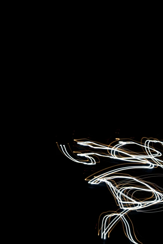abstract light painting of a bird in flight
