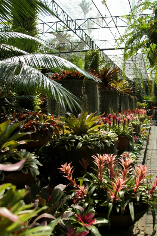 a large room full of flowers and plants in some type of building