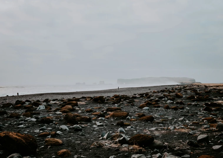 a group of people walking along a beach