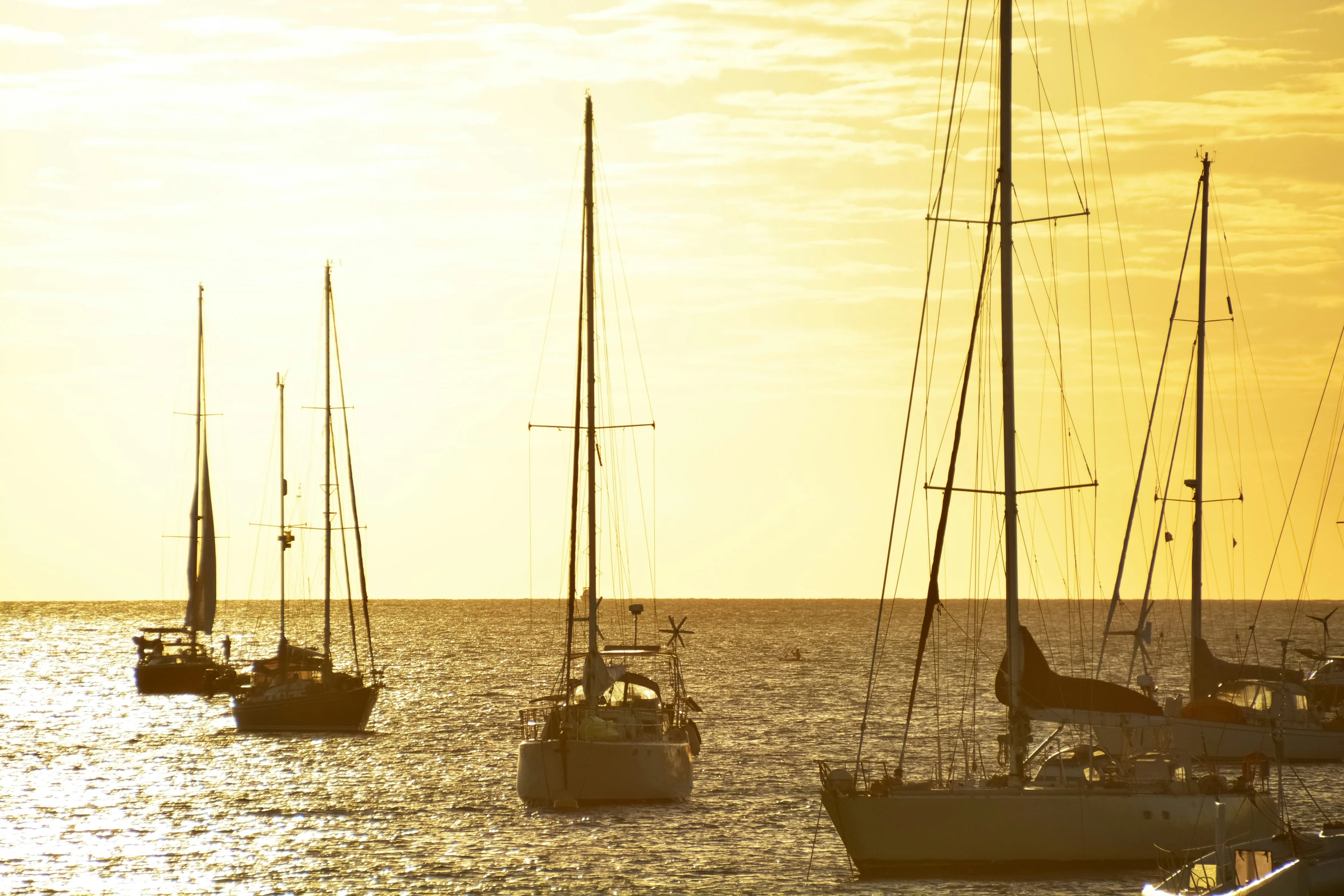 many small boats are in the water on a sunny day