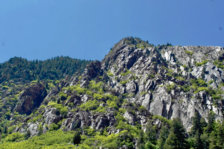 a group of trees is in the foreground, next to a rocky peak