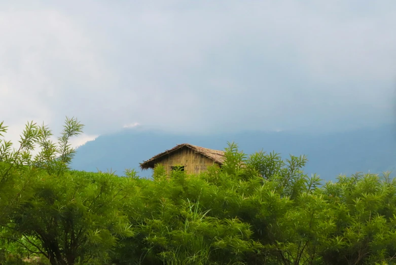 an old building in a tree - covered field under a blue cloudy sky