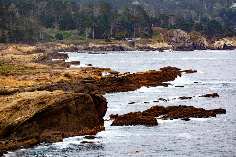 the rocks in the water are wet and there is a bird standing on them