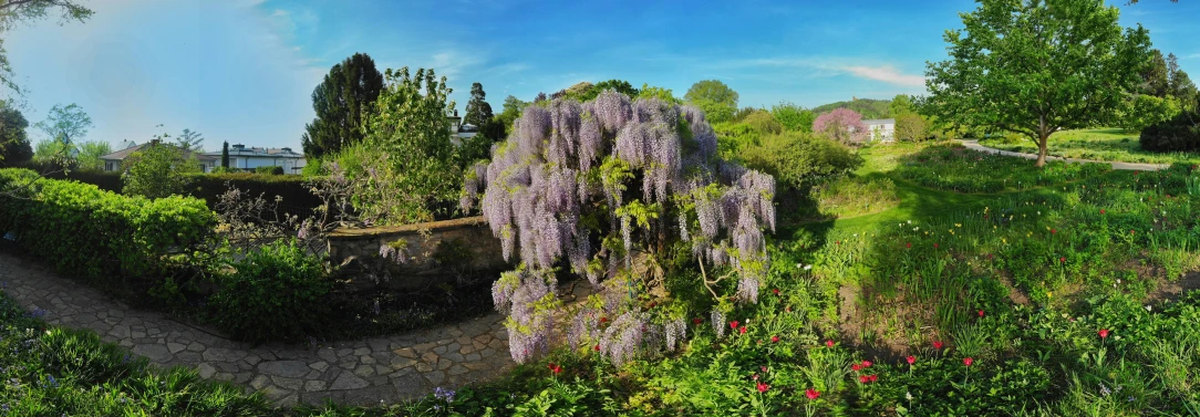 an impression of a garden scene in the middle of summer