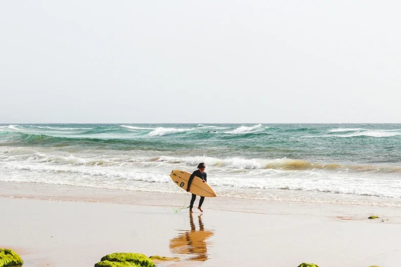 a surfer on the beach has her surfboard in hand