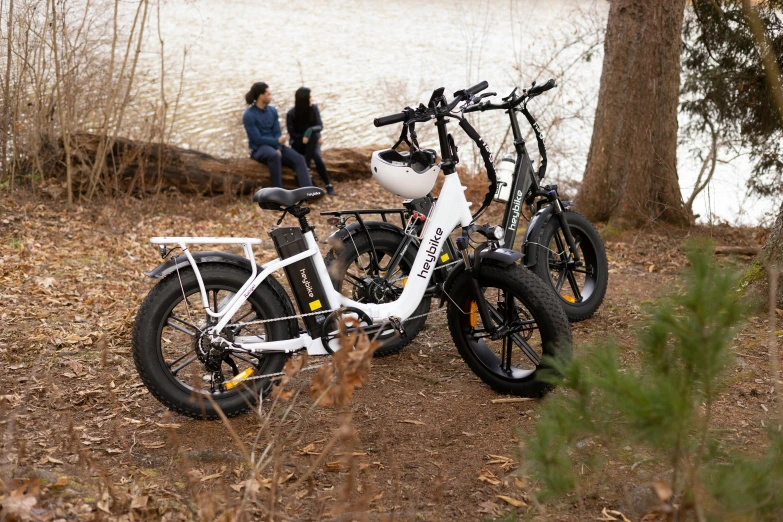 a couple of bikes are in a wooded area