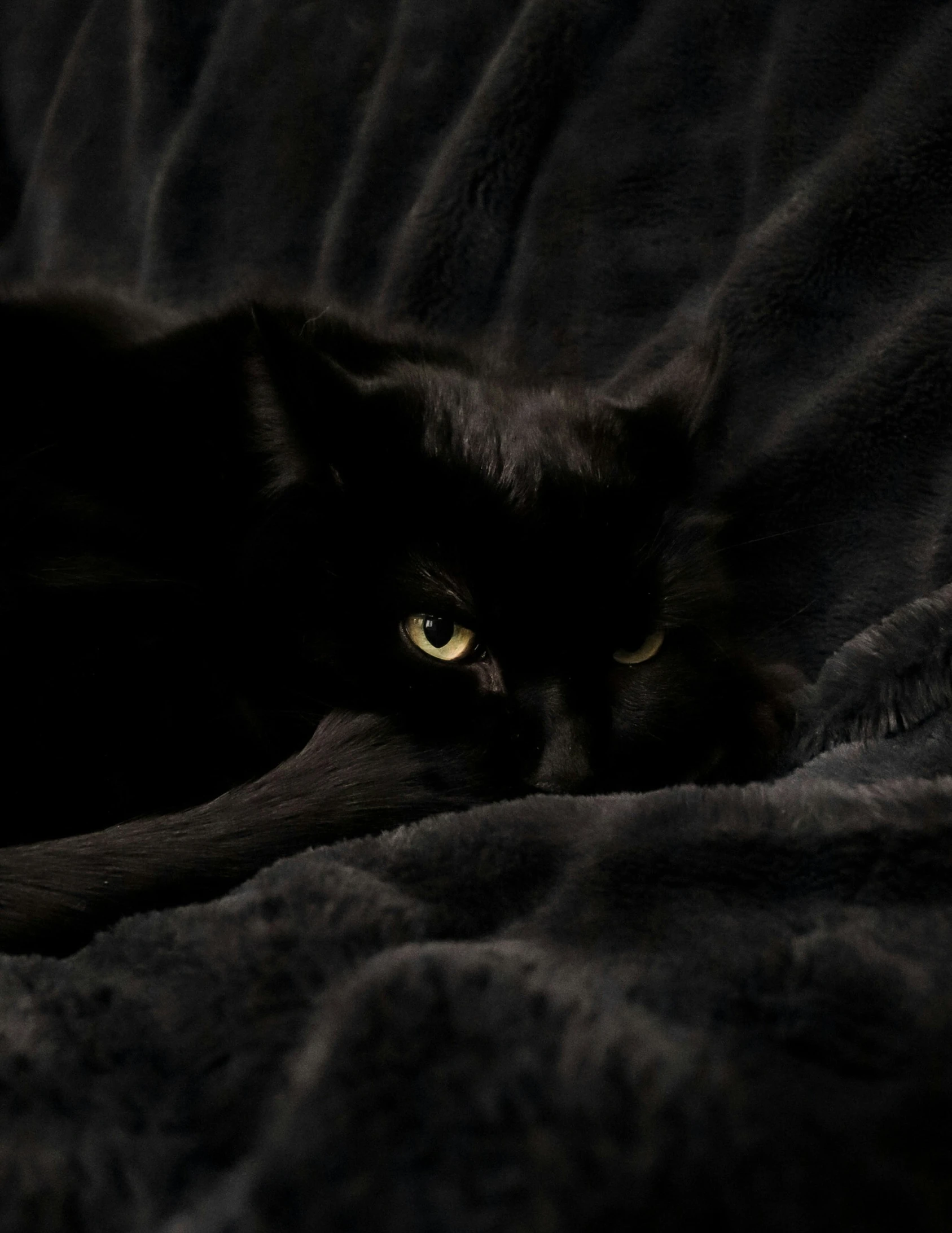 a cat with green eyes lying on a blanket