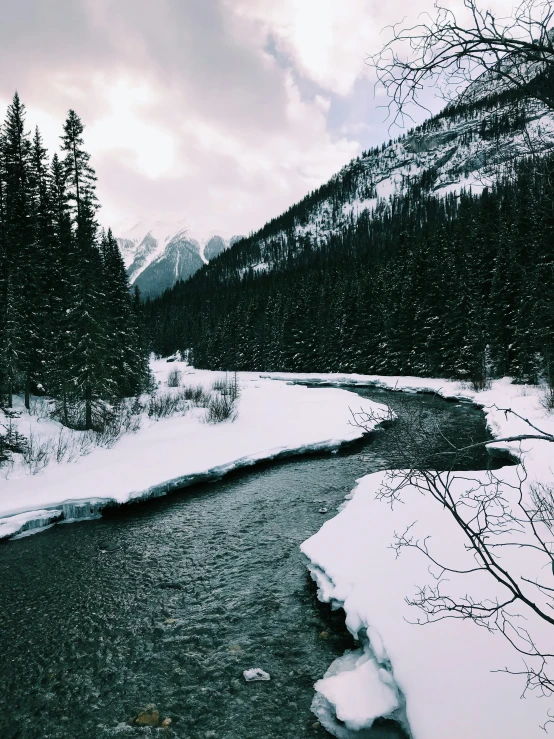 a river running through a forest covered in snow